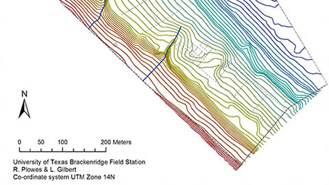 Contour Map of the BFL